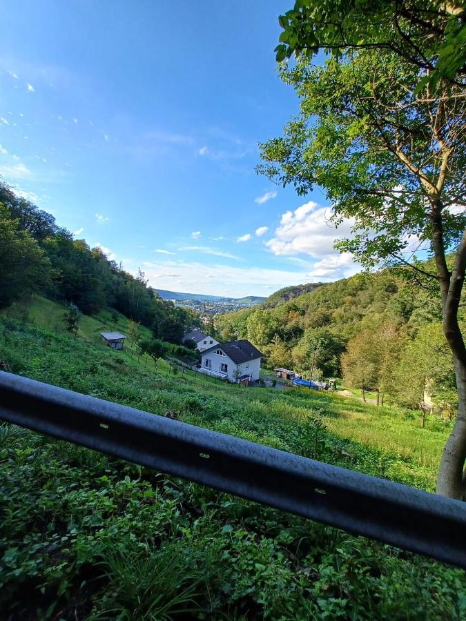 Ferienwohnung Neli Am Rhein Rheinbrohl Kültér fotó