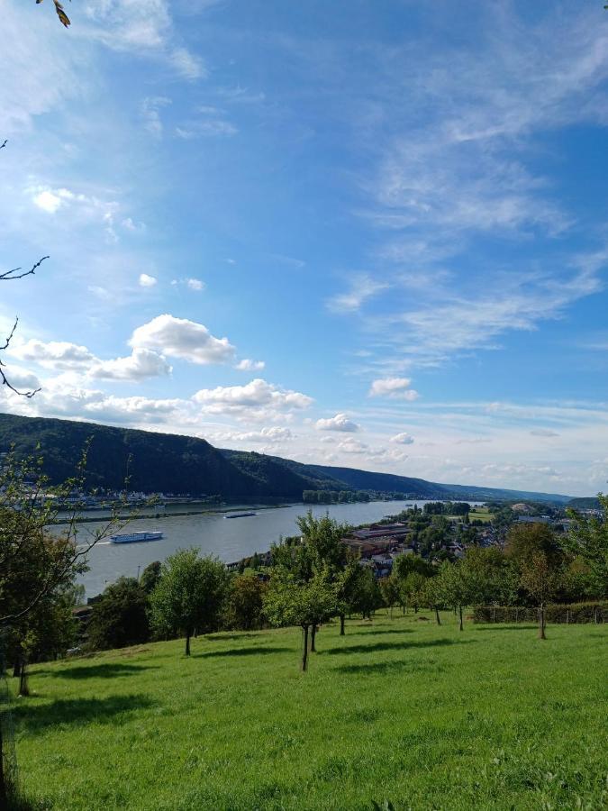 Ferienwohnung Neli Am Rhein Rheinbrohl Kültér fotó