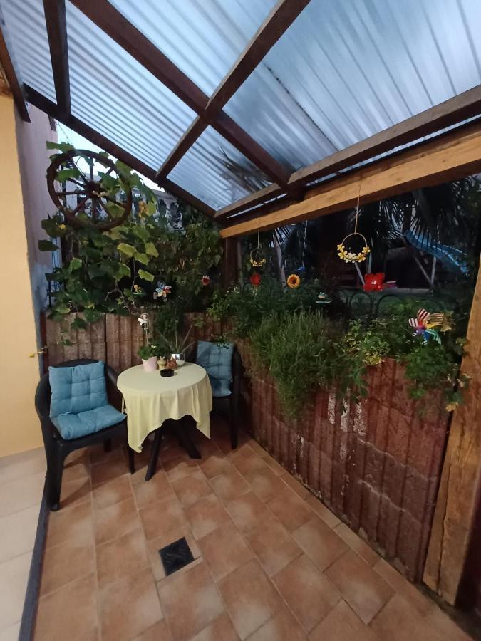 Ferienwohnung Neli Am Rhein Rheinbrohl Kültér fotó