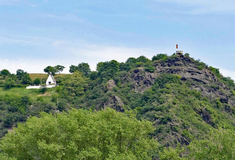 Ferienwohnung Neli Am Rhein Rheinbrohl Kültér fotó