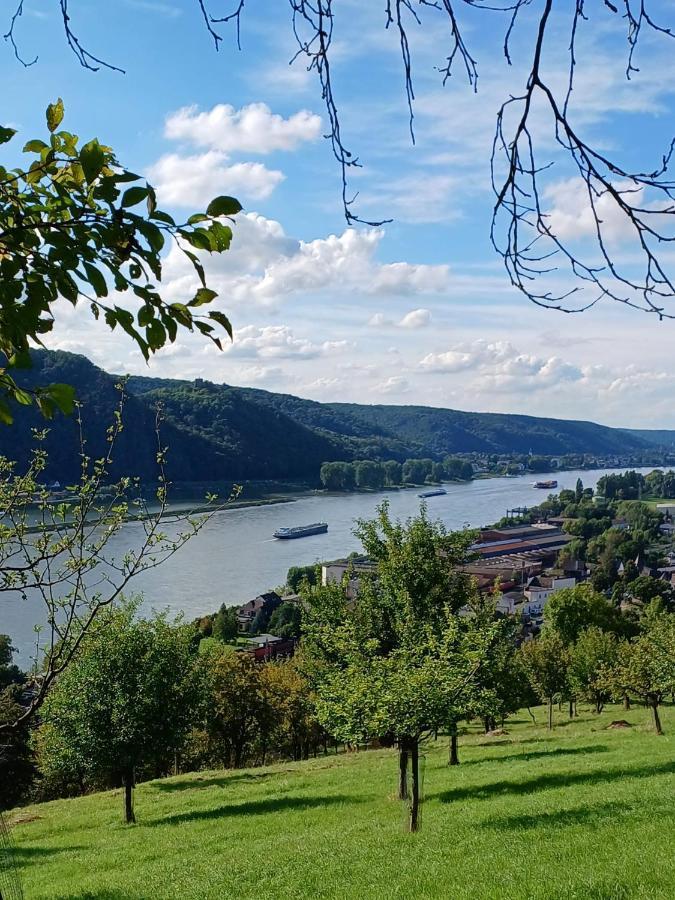 Ferienwohnung Neli Am Rhein Rheinbrohl Kültér fotó